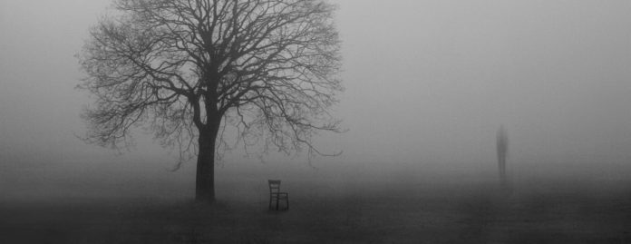 Ein einzelner Baum in einer nebligen Landschaft. Schemenhaft ist eine Person zu sehen.