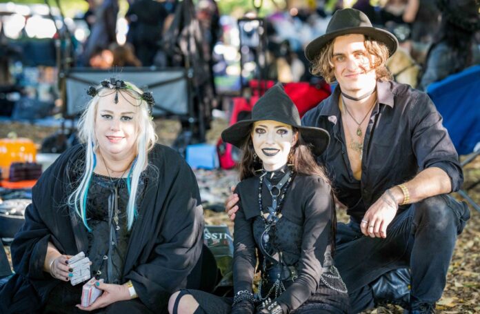 Brisbane Gothic And Alternative Picnic 2024